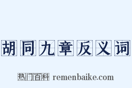 胡同九章反义词是什么意思的图片